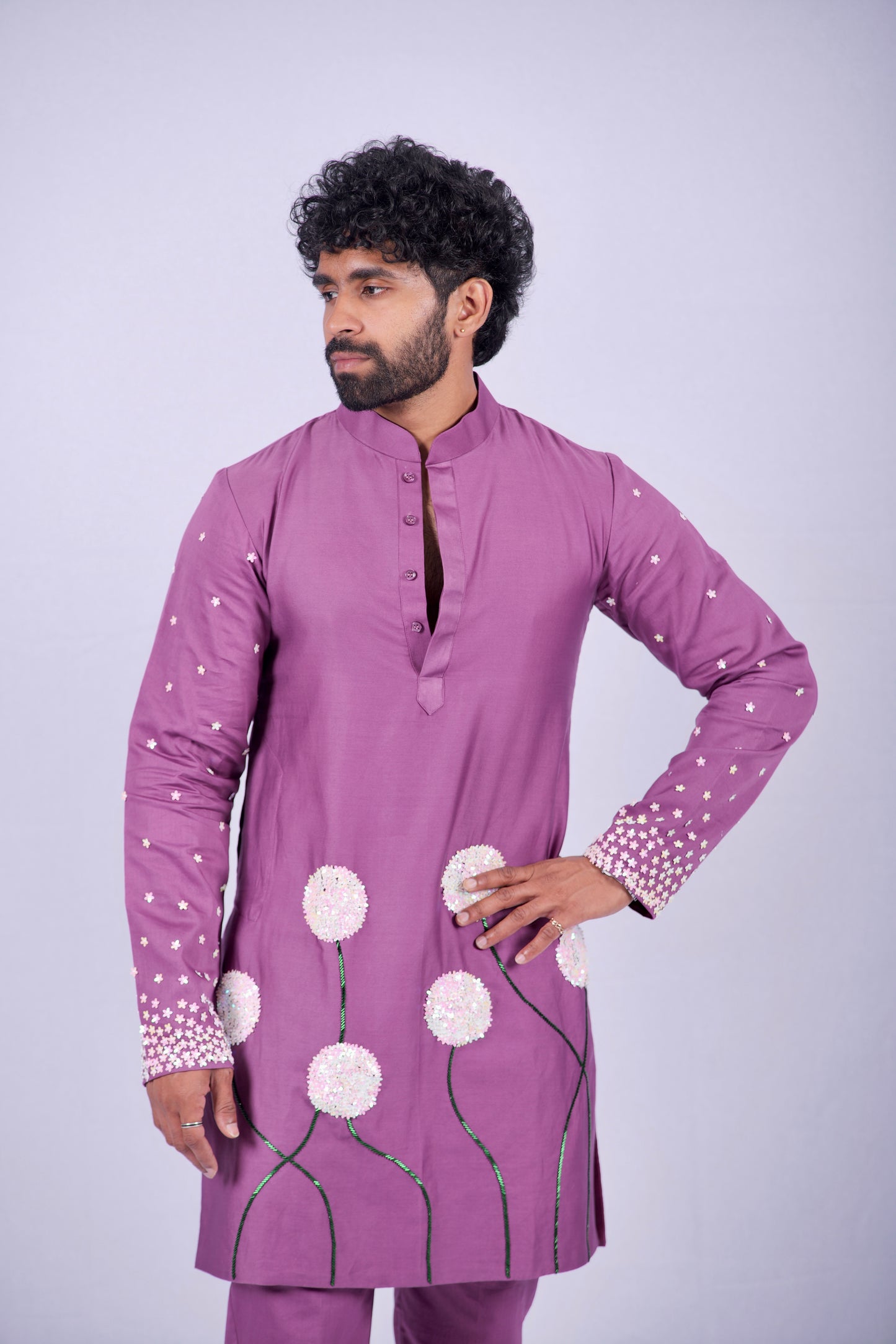 The Dandelion Garden